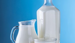 Cow's milk remains a staple in British households